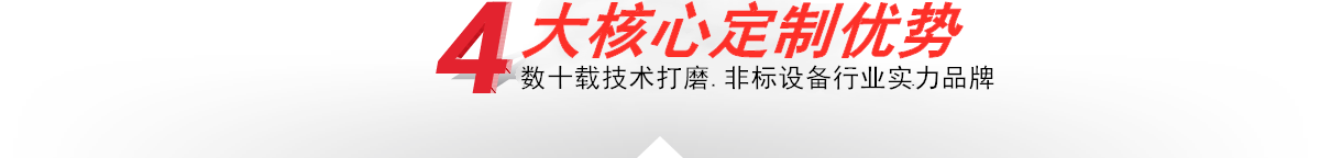 本公司—4大核心定制優(yōu)勢(shì)